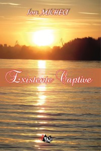 MICHECI_CAPTIVE
