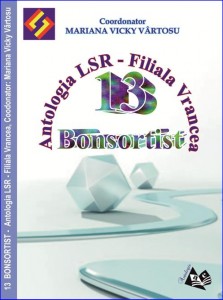 MVV_13B